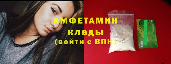 шишки Балахна