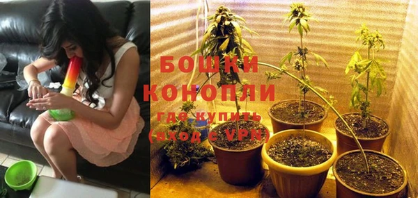 шишки Балахна