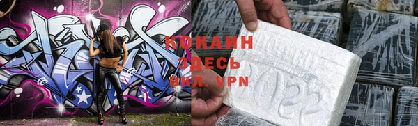 шишки Балахна