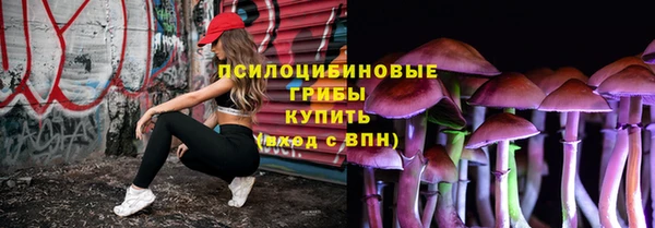 шишки Балахна