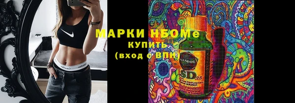 шишки Балахна