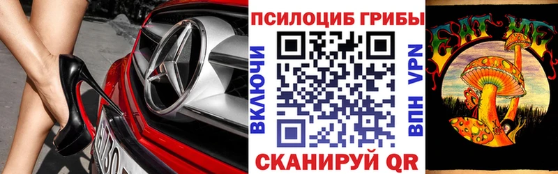 Галлюциногенные грибы Psilocybine cubensis  Кохма 